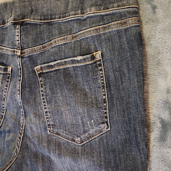 Lane Bryant Jeans - Picture 5 of 8